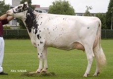 Veenhuizer Zadia 15 VG-88