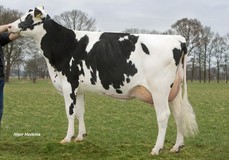 Visstein Carina VG-87