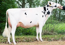 VO Ariel VG-87