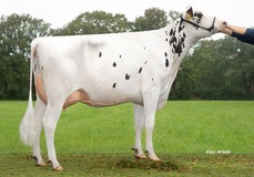 VO Nadja VG-85