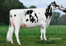 WEH Epic Jen VG-86