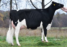 WEH Lucy VG-88