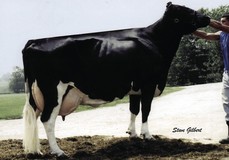 Wesswood-HC Rudy Missy EX-92 Wesswood-HC Rudy Missy EX-92