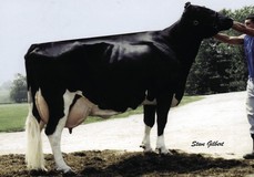 Wesswood-HC Rudy Missy EX-92