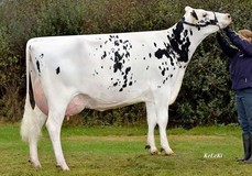 WEU Extra VG-86