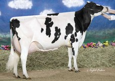 Whittier-Farms Outside Roz EX-95