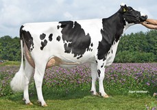 Wilder K41 RDC VG-87