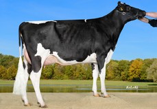 Wilder Melle VG-85, Boss x Wilder Meta VG-86