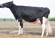 Wilder Meta VG-86