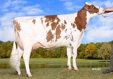 Wilder Saturn P Red VG-88