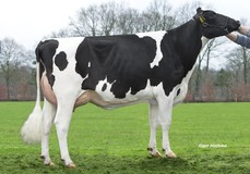 Willem's Hoeve Marcia P RDC VG-86