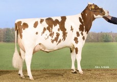 Willem's Hoeve Rita 0438 Red VG-87