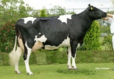 Willem's Hoeve Rita 233A EX-92