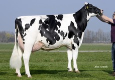 Willems Hoeve Rita 3248 VG-86