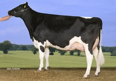 Willem's Hoeve Rita 331 VG-89