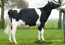 Willem's Hoeve Rita 156A VG-88