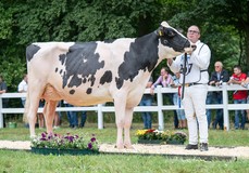 Willem's-Hoeve Rita 2679 EX-90