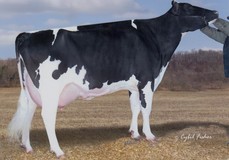 Windy-Knoll-View Policy EX-93