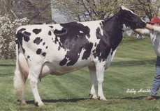 Windy-Knoll-View Ultimate Pala EX-94