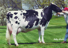 Windy-Knoll-View Ultimate Pala EX-94