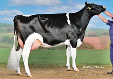 WKM Ronja VG-85