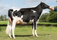 Zandenburg Fugleman Dellia VG-87