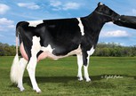 Bacon-Hill Supersire Mindy