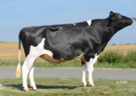 Broeks Elburn RDC
