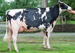 Capital Esmeralda VG-89 (v. Capital Gain)