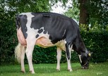De Wijde Blik Betty 2