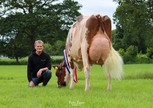 De Wijde Blik Corrie 679