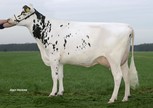 Delta Jacoline