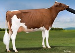 Greenlea Ad Avery-Red