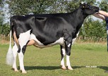 HaS White Blac (Jetset) DE0122629378 nov. 2019
