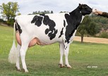 HLB 3STAR OH Rosella P RDC