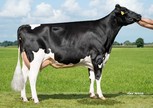 K&L BL Dellia