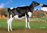 K&L BL Leida 2424