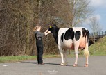 De Wijde Blik Maranti