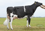 Midwolder Marjon 109 VG-85