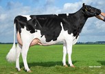 Midwolder Marjon 168