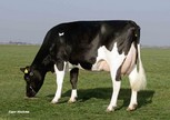 Midwolder Marjon