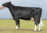 S R Neblina VG-88