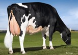 Val-Bisson Shottle Imelda