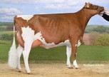 Wilcor O'Kalifa