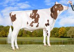 Wilder Pasco Red