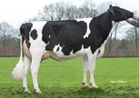 Willem's Hoeve Marcia P RDC