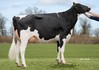 3STAR HWH Biba P RDC