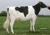 Abtshoeve Marloes