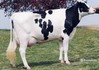 Art-Acres Aerostar Kay K-ET