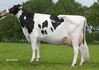 Bonhill Warsi 124 RDC